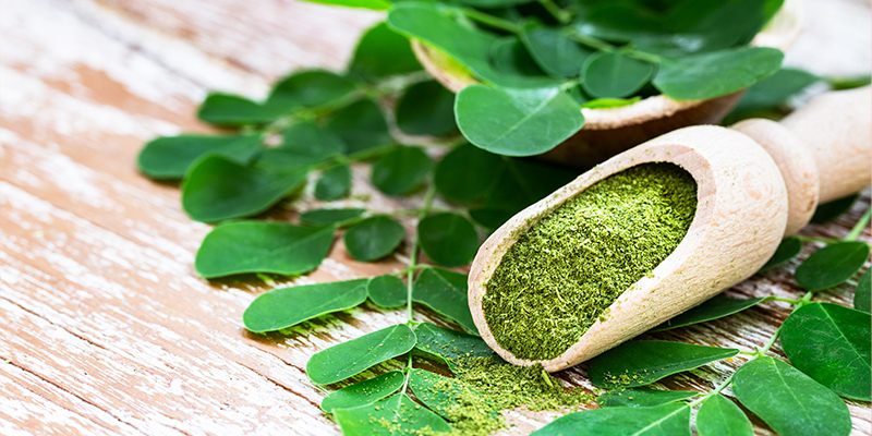 The Power of Moringa Extract in Skin Care and Discover Pielor Products